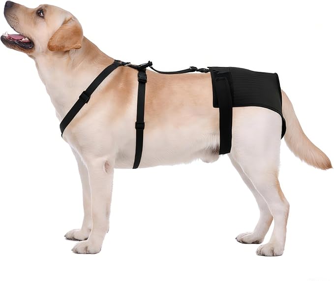 Female Dog Heat Pants with Harness Design - Anti-Slip, Anti-Mating, Reusable & Washable Underwear for All-Day Protection (Black, S)