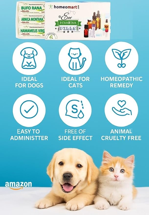 homeomart.com Dog & Cat Ear Hematoma Treatment with Homeopathy – Safe & Natural Relief