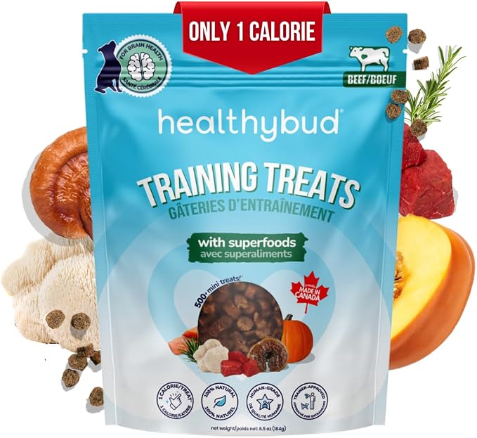 healthybud Mini Dog Training Treats - Beef Liver Soft Trainer Bites, 500+ Bits, 1 kCal per Bite, 6.5oz, Reishi, Lion’s Mane, Salmon Oil, Puppy Chews (Beef)