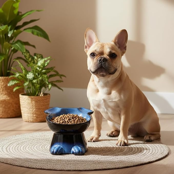 Nihow Elevated Ceramic Dog Bowls: 6.5 Inch Raised Small Dog Bowl for Food & Water - Food Safe Bowl for Medium/Small Size Dogs - Vivid Blue Puppy Bowls for Protecting Pet's Spine (1 PC)