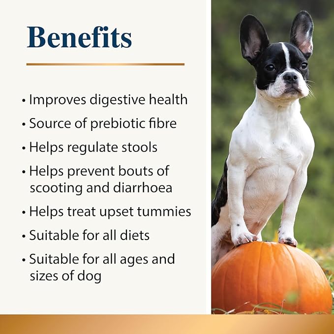 Pumpkin Powder for Dogs - 100% Organic Pumpkin | Natural Fibre for Dogs | Stool Firm | Prebiotic Digestive Aid | Diarrhea Treatment | Canned Pumpkin Alternative | 100g