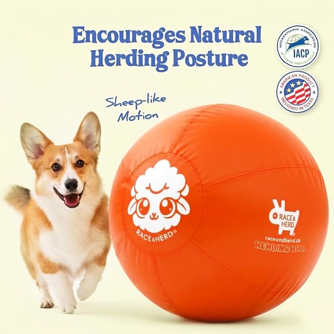 Race&Herd 18" Original XXL Herding Ball for Dogs - Herding Toys, Giant Dog Ball for Australian Shepherds, Border Collies - Durable Dog Outdoor Training Toy for Small Breeds (Tangerine)