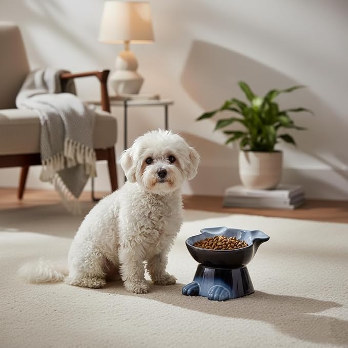 Nihow Elevated Ceramic Dog Bowl: 6.5 Inch Raised Small Dog Bowl for Food & Water - Food Safe, Protects Pet's Spine (1 PC)