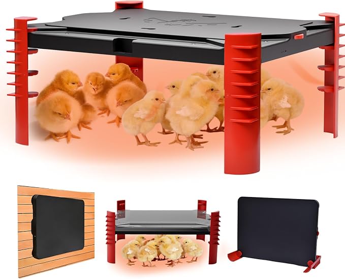 200W Chick Brooder Heater Plate, 2-in-1 Adjustable Radiant Brooder Plate for Chicks & Poultry, Smart Thermostat, 16"x12", Safe & Energy Saving, Ideal for Brooders & Small Chicken Coops