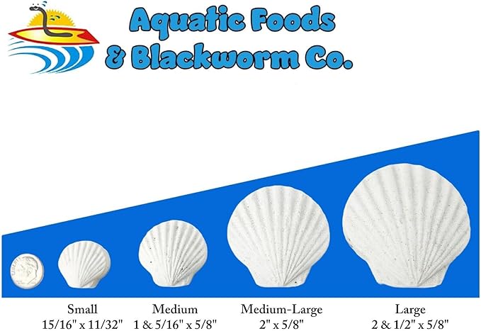 Calcium Feeder Large Shells. Extra Thick Shells for Shrimp, Snails, Crabs, Crayfish, Hermit Crabs and All Tropical Fish…20 Count Jar