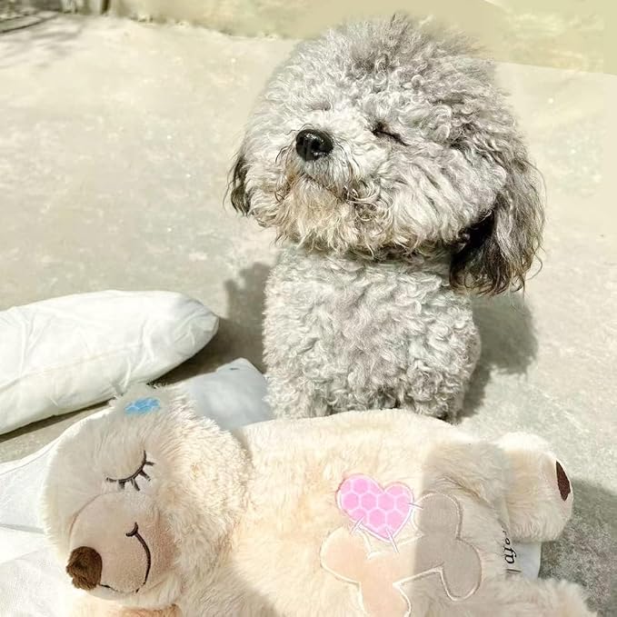 ALL FOR PAWS Puppy Soothing Heartbeat Bear Comfort Dog Sleep Aid Plush Toy for Crate Training