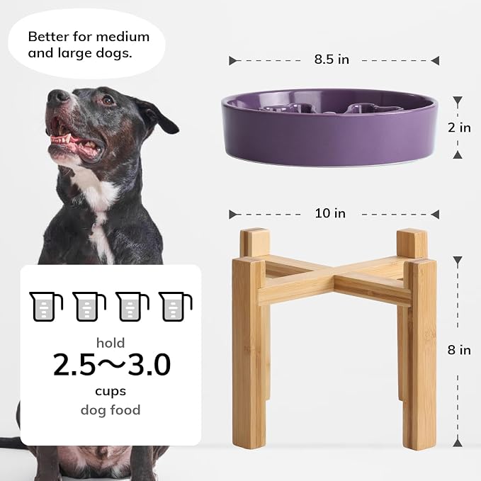 Slow Feeder,Ceramic-Slow Feeder Dog Bowls Elevated for Medium and Large Breed,3 Cups Slow Feed Dog Bowl with Stand,Purple
