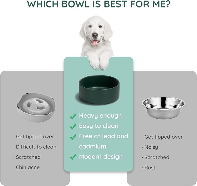 SPUNKYJUNKY 13.5OZ Ceramic Dog and Cat Bowl, Modern Cute Weighted Food Water Bowl for Replacement Green (1 Pack)