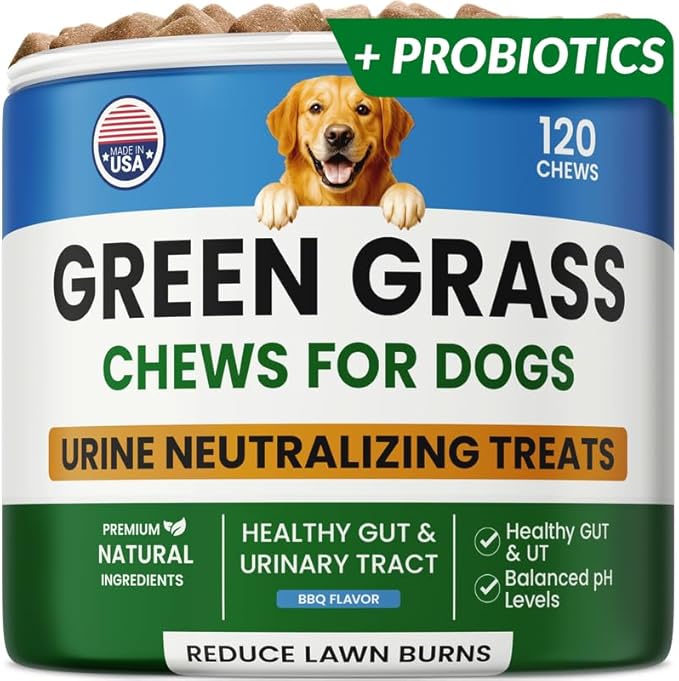 PAWFECTCHEW Dog Pee Grass Chews - Grass Treatment for Pet Urine - Neutralizer for Green Grass Burn Urine Spots - Green Lawn Chews for Dogs with Probiotics - Made in USA (120Ct)