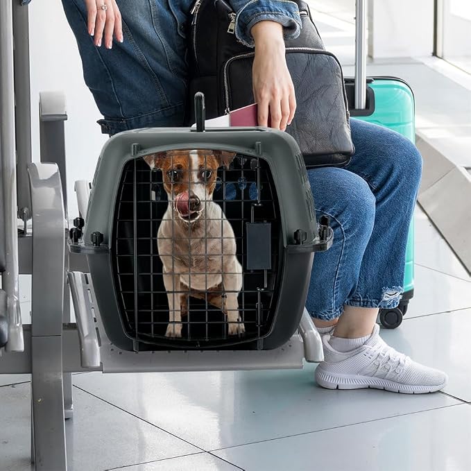 Petmate Pet Porter Dog Kennel 23", Dark Gray & Black, for Pets up to 15lbs, Made in USA