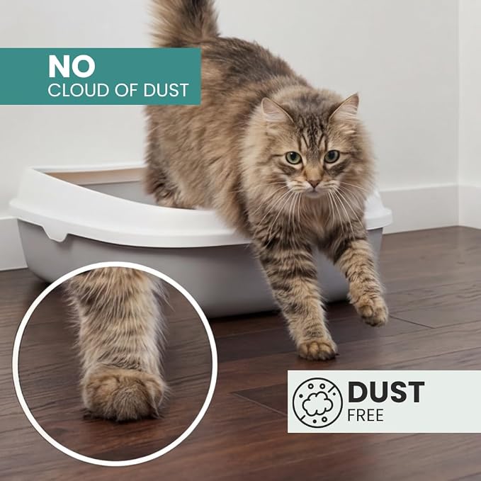 Tofu Cat Litter |100% Natural, Ultra Absorbent, Clumping, Flushable & Eco-Friendly with Low Tracking, Odor Control, and Dust-Free Formula 16.5lbs(3 x 2.5kg)