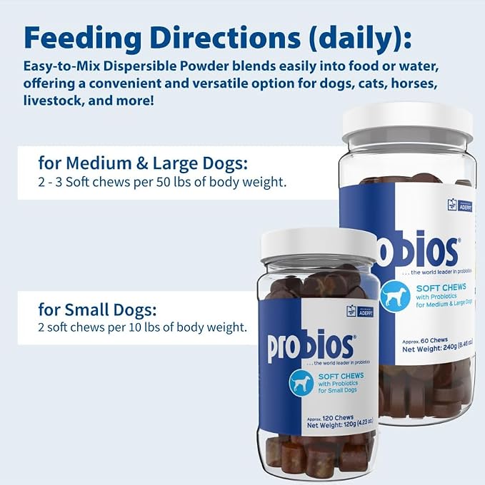 Probios for Dogs Soft Chews, Daily Probiotic Supplement for Gut Health, Digestion and Immune Support Medium and Large Breeds, Chicken Liver Flavor, 8.46oz 60 Chews (Pack of 2)