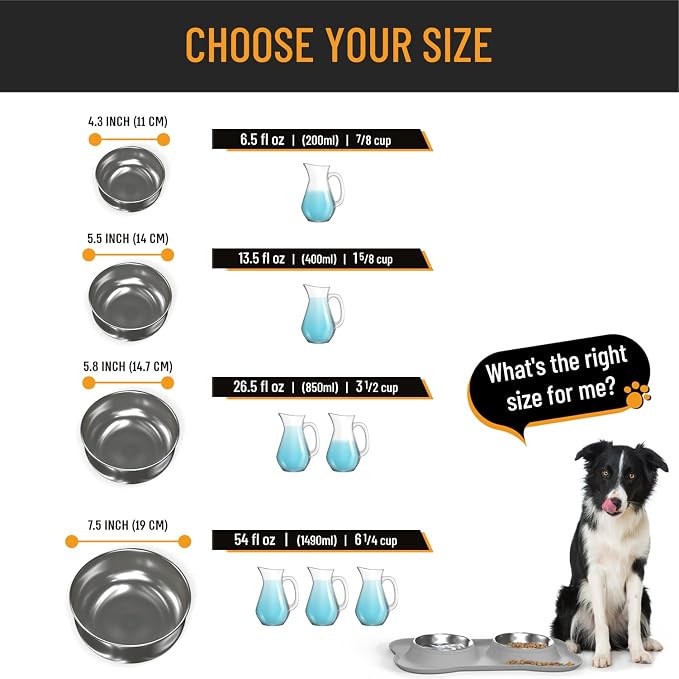 Active Pets Dog Bowl Set, Stainless Steel No Spill Mess-Proof Food & Water Food Bowls with Skid Resistant Silicone Mat, Dog Bowls Small Size Dog, Medium, & Large, Pet Puppy Bowls & Dog Dishes