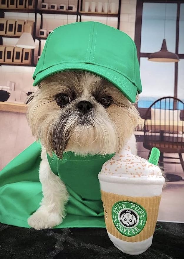 Nestpark Parody Star Pups Coffee Dog Toy Pup'kin Spice Latte - Funny Plush Squeaky Crinkle Dog Toys for Medium, Small and Large for Dog Birthday