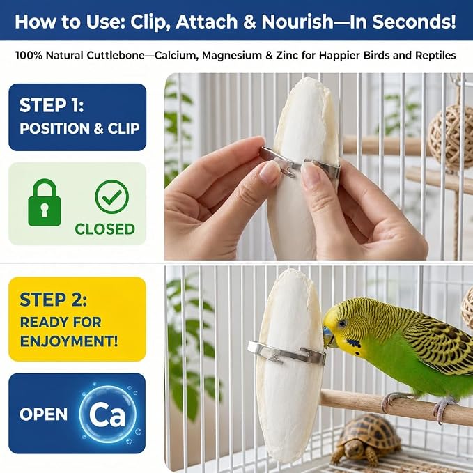 Birds LOVE 5.5-6″ Cuttlebone for Birds – 100% Natural Sun-Dried Calcium & Beak Conditioning Supplement for Parakeets, Budgies, Cockatiels, Finches & Canaries – 12 Pack with Holder – Made in Vietnam