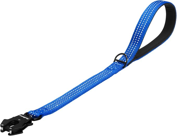 PetBonus Heavy Duty 24 Inch Short Dog Leash and 2-Pack Silicone Collapsible Dog Bowls