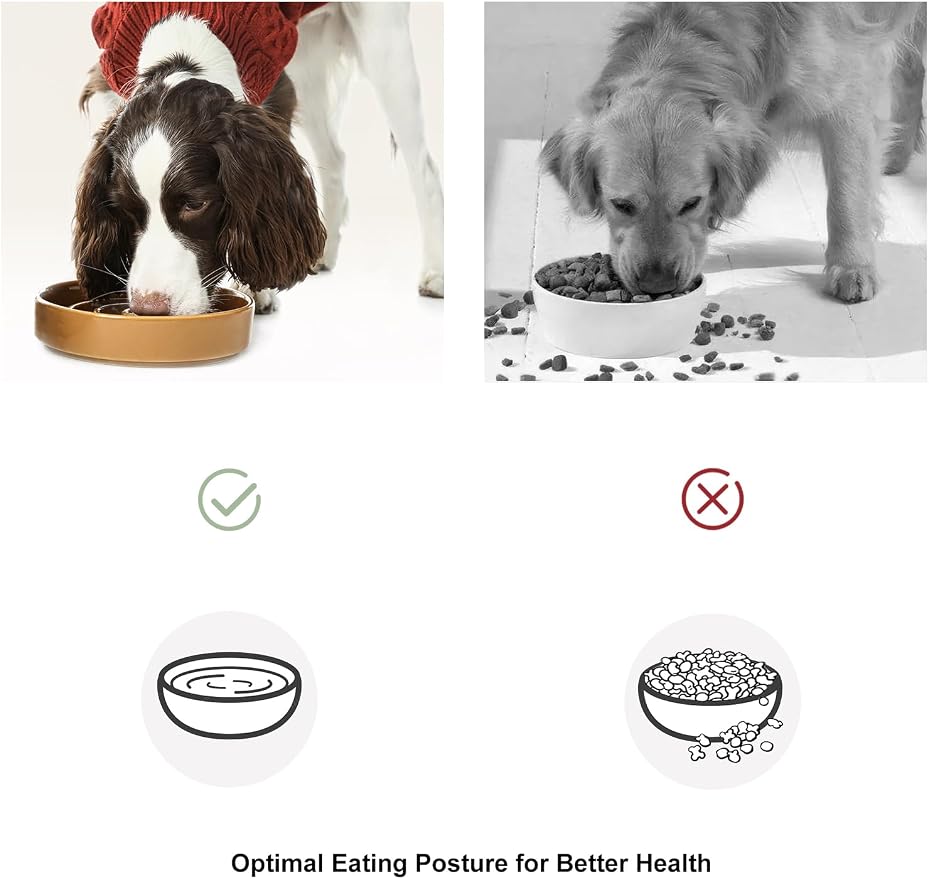 Ceramic Slow Feeder Dog Bowl, Maze Puzzle Non-Slip Silicone Base Stoneware Bowl for Small Medium Dogs, Heavy Duty Anti-Bloat Dog Food Bowl Dishwasher Safe – Apricot, Small