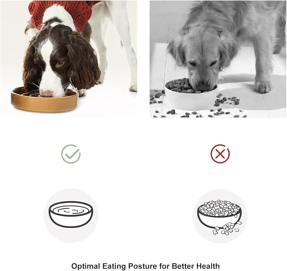 Ceramic Slow Feeder Dog Bowl, Maze Puzzle Non-Slip Silicone Base Stoneware Bowl for Small Medium Dogs, Heavy Duty Anti-Bloat Dog Food Bowl Dishwasher Safe – Green, Small