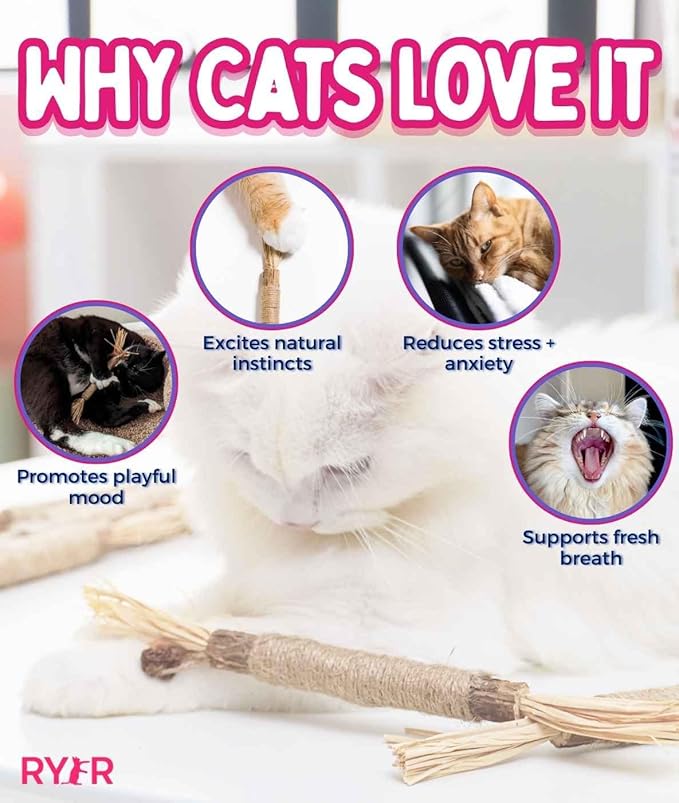 RYERCAT Silvervine Sticks for Cats - 100% Natural Cat Chew Toy for Aggressive Chewers and Kitten Teething - Pet Friendly, Smooth Finish, Irresistible Taste and Smell (5 Pack)