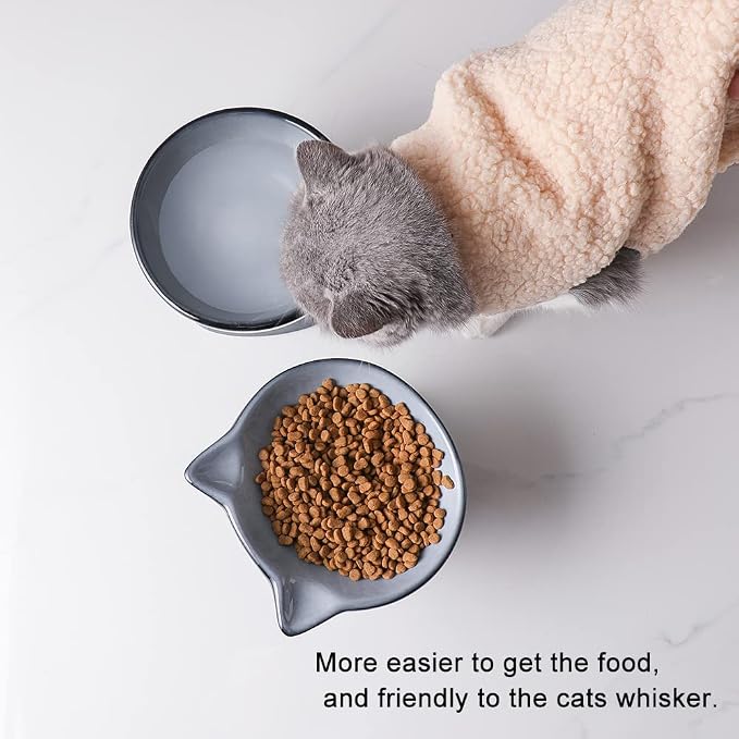 Nihow Ceramic Raised Cat & Dog Bowls: 5 Inch Elegant Gray (2 PC), Protecting Pet's Spine, Feeding & Watering Supplies, Modern Design, Anti Vomiting, Whisker Friendly