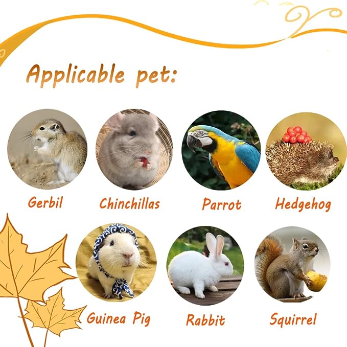 Litewoo Rabbit Scratching Board Molar Chew Toy Cage Mat Board for Rabbit Chinchilla Ferrets Guinea Pig Squirrel Hamster...