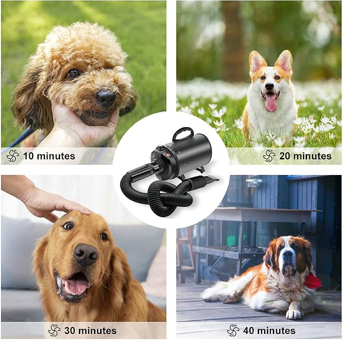 Dog Hair Dryer Quick Dry 2800W Noise Reduction Pet Hair Dryer Home Use Professional Stepless Adjustable Speed Spring Hose 4 Nozzles Dog Blow Dryer for Grooming with Heater