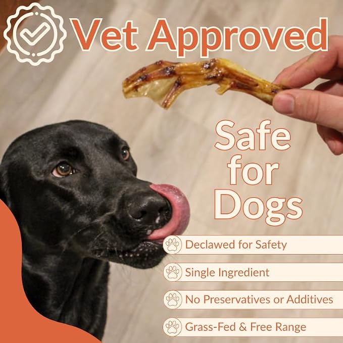 Duck Feet Dog Treat 40 Pack – Bulk European Quality, De-Nailed & Slow Cooked for 37-Hour Air Dried | Natural Hip & Joint Support | Dental Chew for Large Dogs | Rawhide Alternative