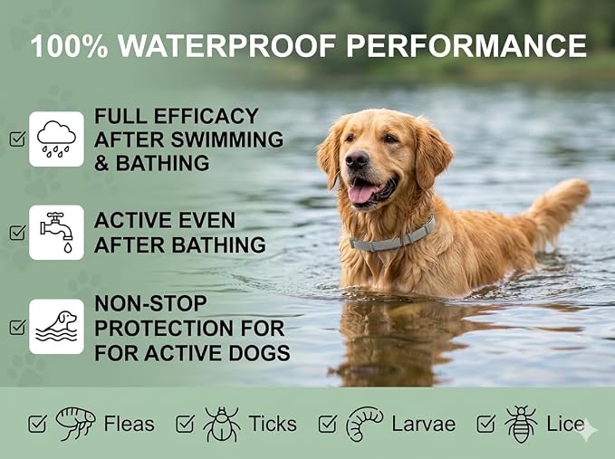 cabins Flea and Tick Prevention for Dogs - Flea Collar - 4 Count - Adjustable