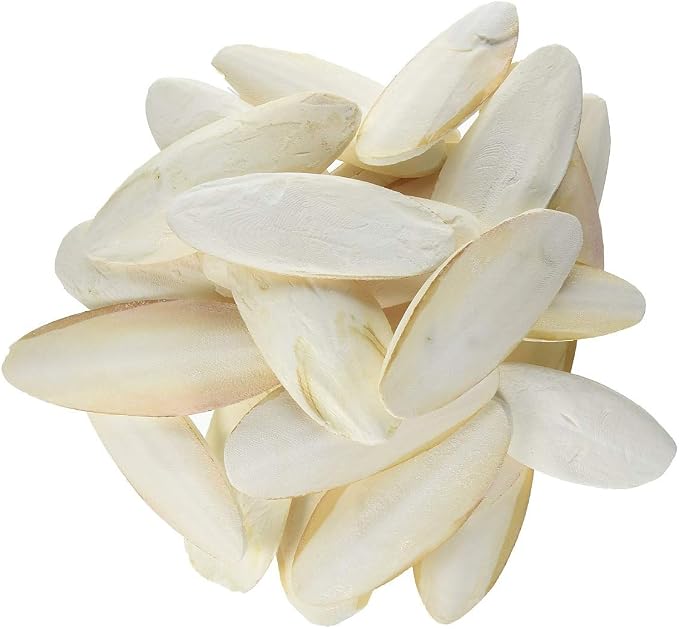 Prevue Pet Products 4 inch Bulk Cuttlebone - 25 per Box with Holder, Medium