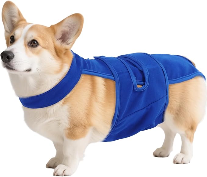 QBLEEV Female Dog Diapers with Adjustable Suspenders – Washable Sanitary Panties for Dogs in Heat or Incontinence, Escape-Proof Reusable Pet Period Underwear Onesie for Small to Large Breeds