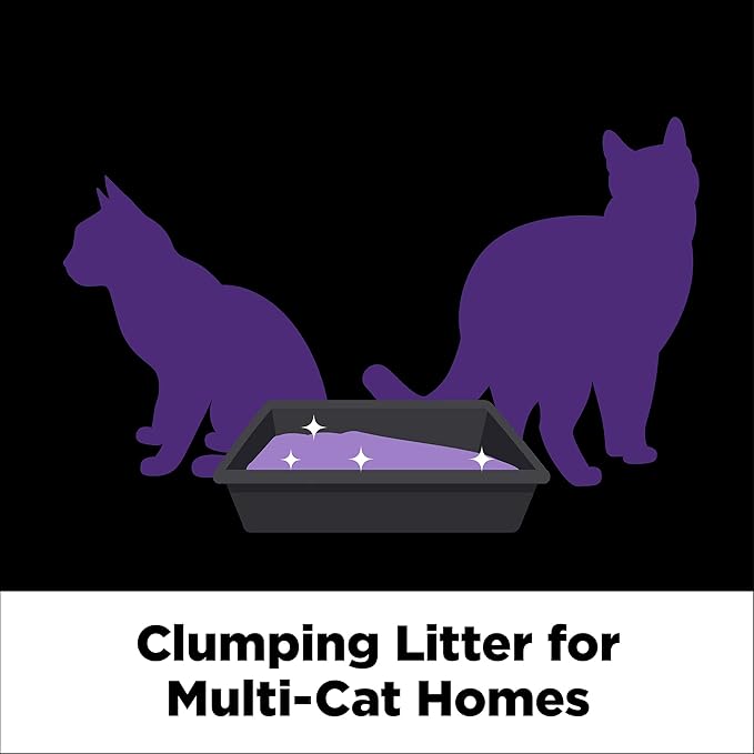 ARM & HAMMER Clump & Seal Slide Platinum Multi-Cat Clumping Cat Litter, Easy Clean Technology with No Scrubbing, 14-Day Odor Control, 18 lbs (Pack of 2)