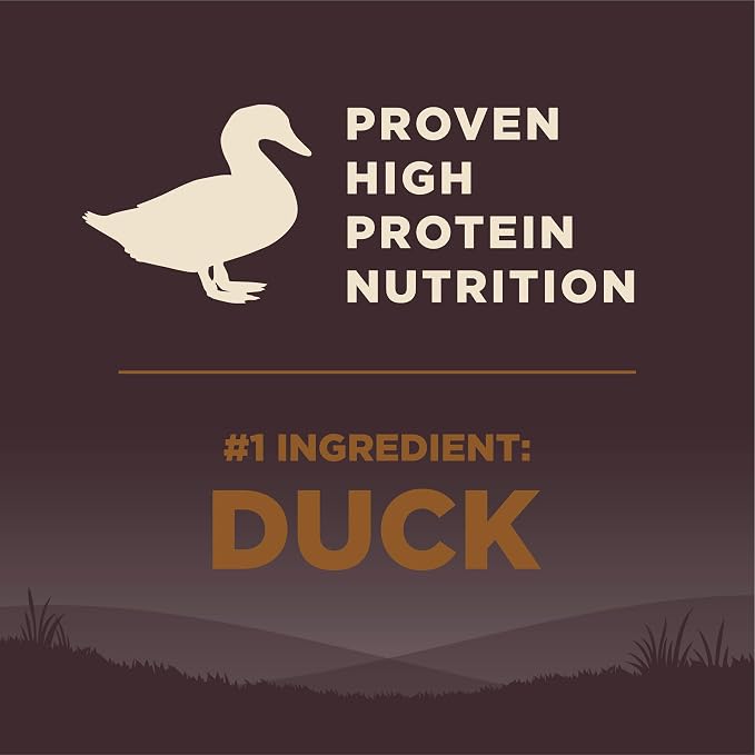 Wellness CORE Dry Dog Food, Grain-Free, High Protein, Natural, Wild Game Duck, Lamb, Wild Boar, & Rabbit Recipe, (12-Pound Bag)
