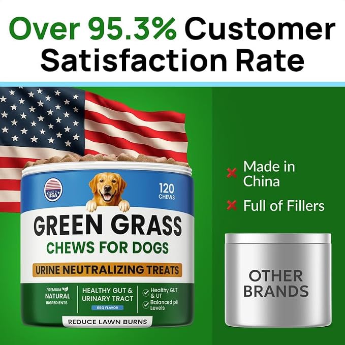 PAWFECTCHEW Green Grass Dog Chews with Probiotics – Lawn Burn Support – Dog Urine Neutralizer for Grass – Pee Spot Control – Gut & Urinary Health – 240Ct
