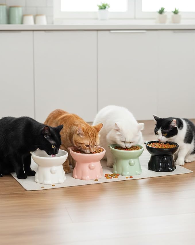 Ceramic Elevated Cat Bowls, 4 Pack 5 Oz Whisker Friendly Cat Bowls Cats Food Bowl Cats Food Dishes for Cats, Small Dog, Kitten, Microwave & Dishwasher Safe, 5.1 x 4.3 inch