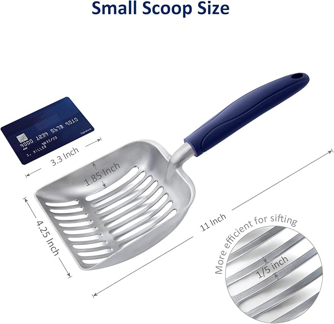 WePet Clean & Cozy Cat Essentials Set