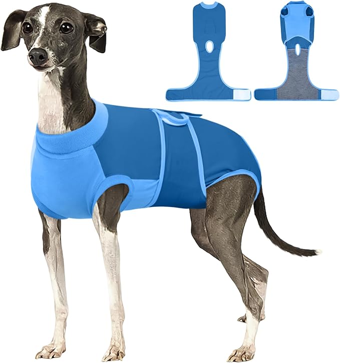 Kuoser Dog Recovery Suit, Female/Male Spay/Neuter/Postpartum Care, Anti-Licking Pet Surgical Suit, Blue, Large (23-48LB)