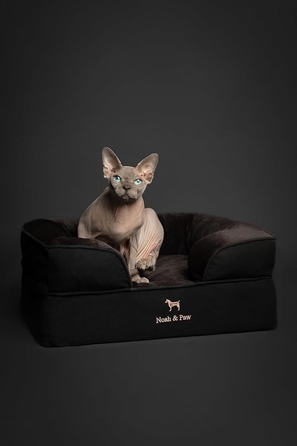 NOAH & PAW Small Dog Bed, 20x15x8 Inch, Cat Bed for Indoor Cats, Orthopedic Eggshell Memory Foam Infused with Cooling Gel, Water Resistant Inner Cover Machine Washable (Denim Collection)