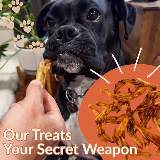 Duck Feet Dog Treat 40 Pack – Bulk European Quality, De-Nailed & Slow Cooked for 37-Hour Air Dried | Natural Hip & Joint Support | Dental Chew for Large Dogs | Rawhide Alternative