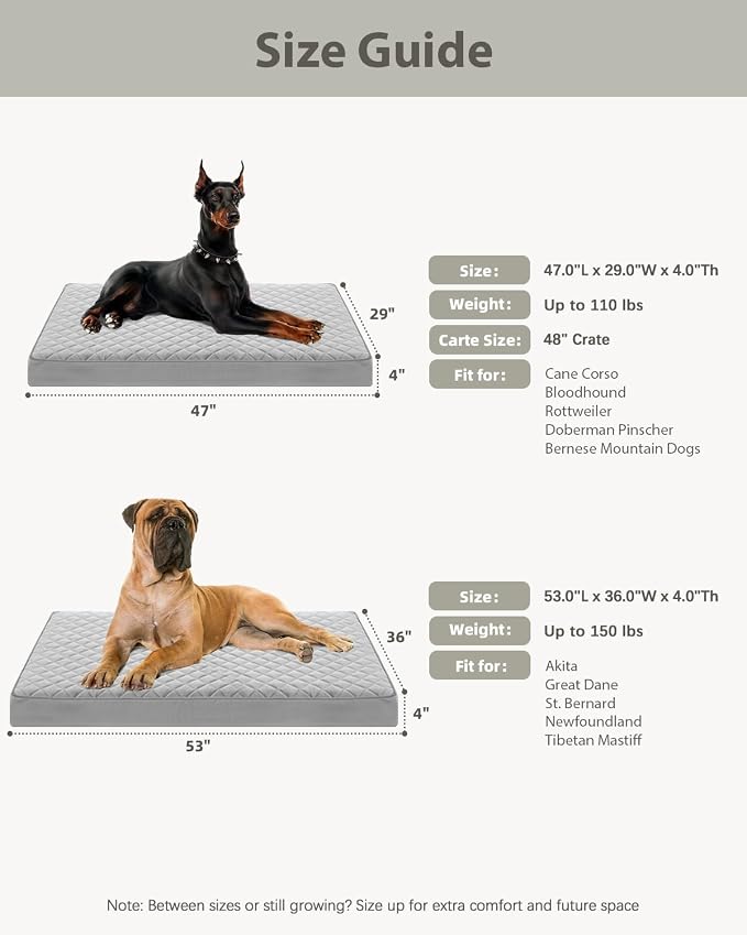 NUPIDA Orthopedic Dog Beds for Extra Large Dogs, 47x29 Inch, Light Gray | Waterproof, Removable Machine Washable Cover with Zipper, Non-Slip Bottom, Egg Crate Foam, Cozy Velevt, Fit Dog Crate kennel