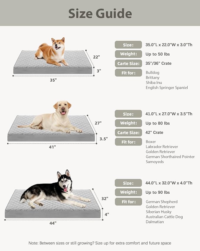 NUPIDA Orthopedic XL Dog Beds Large Sized Dog Waterproof Bed with Removable Washable Cover and Non-Slip Bottom, Quilting Pet Mattress for Crate, 41x27 Inch, Light Gray