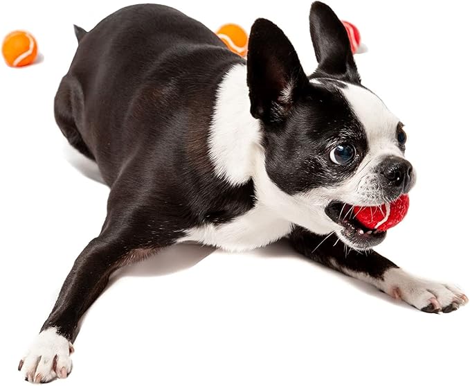 Midlee 1.5" Mini Dog Tennis Balls Bulk Set of 25 Assorted Colors