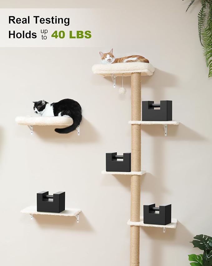 FUKUMARU Cat Wall Shelves Set, 70 Inch Stable Wall Mounted Tree, Kitten Scratching Post with Soft Cushion Perch, Space Saving Climbing Wall Furniture for 16 Inch Drywall - Beige