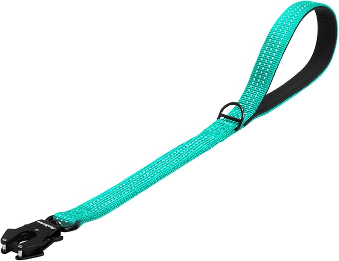 PetBonus Heavy Duty 24 Inch Short Dog Leash and 2-Pack Large Silicone Collapsible Dog Bowls