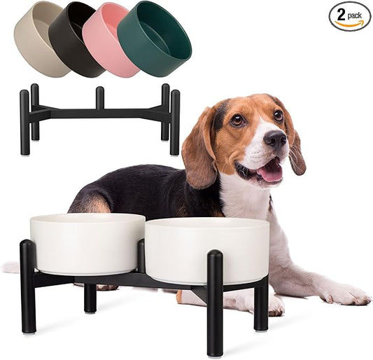 Raised Ceramic Dog Bowl Set - Elevated Double Dishes with Stainless Steel Stand - Food and Water Bowls for Small to Medium Dogs - Each Holds 3.5 Cups (29.57 fl oz) - White