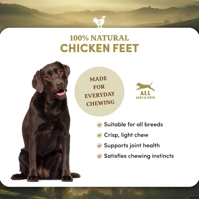 Chicken Feet Dog Treats, Dehydrated Chicken Feet for Dogs, Single Ingredient High Protein Chicken Chews, Crunchy Natural Dog Snacks for Small Medium Large Dogs, 4 lb 6 oz Bulk Bag