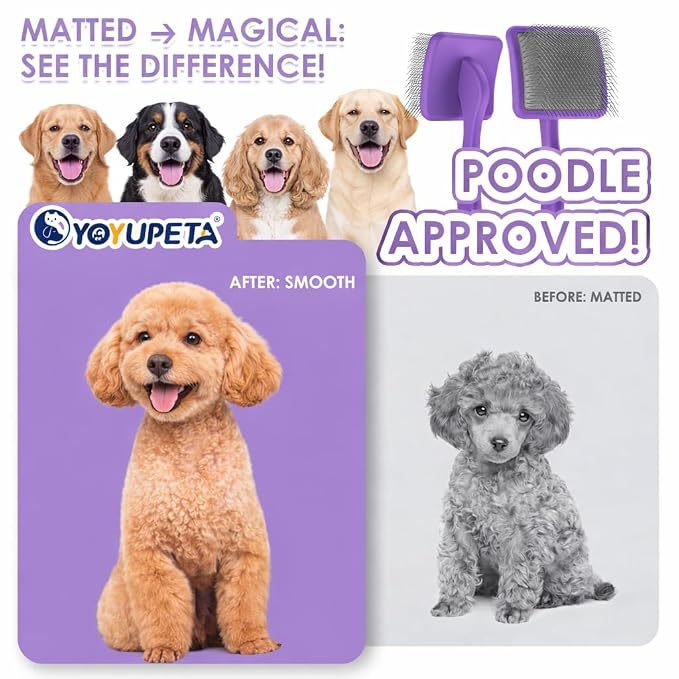Large Dog Slicker Brush for Goldendoodles, Poodles - 3 in 1 Grooming Kit with Undercoat Rake & Comb - Extra Long Pins Slicker Brush for Dematting, Thick Coats, Shedding, Detangling, Purple