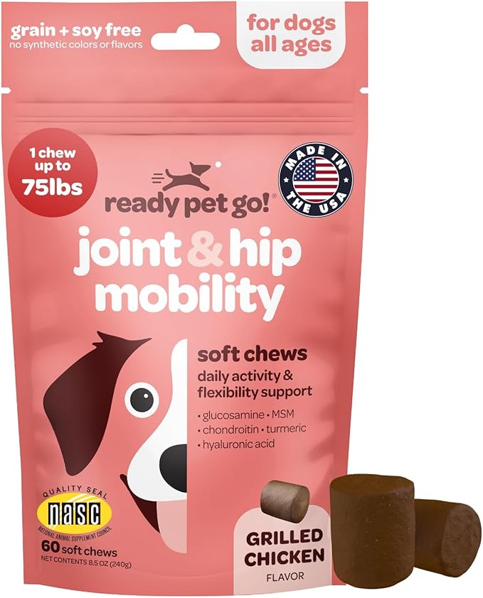 Hip and Joint Chews for Dogs | Dog Glucosamine Chews for Comfort & Mobility with Chondroitin MSM & Turmeric | Dog Joint Supplement for All Ages & Sizes | NASC Certified & Made in the USA | 60 Chews