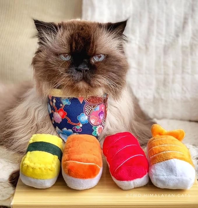 munchiecat Sushi Catnip Toy for Cats - USA Made, Engaging Sushi Design for Pouncing and Play, Kittens (4-Pc Rainbow)