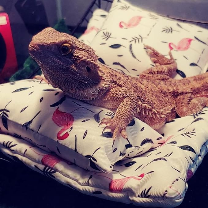 Bearded Dragon Hammock Lizard Hammock Reptile Bed with Pillow Lizard Habitat Soft and Warm Small Animal Sleeping Bag Set…