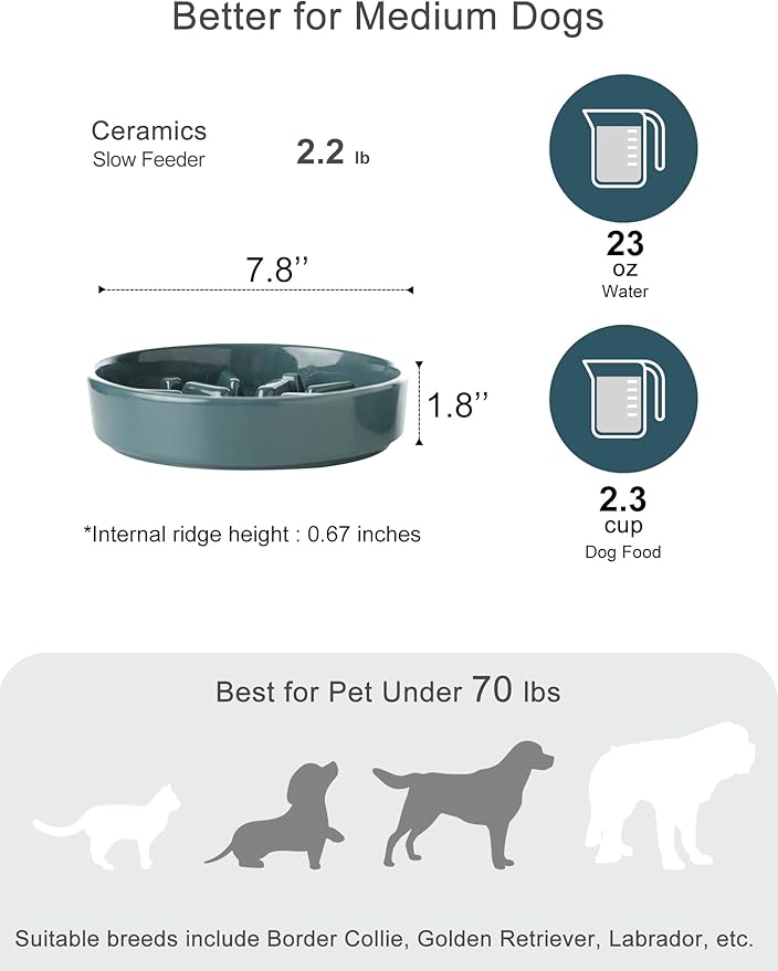 Ceramic Slow Feeder Dog Bowl, Maze Puzzle Non-Slip Silicone Base Stoneware Bowl for Small Medium Dogs, Heavy Duty Anti-Bloat Dog Food Bowl Dishwasher Safe – Blue, Medium